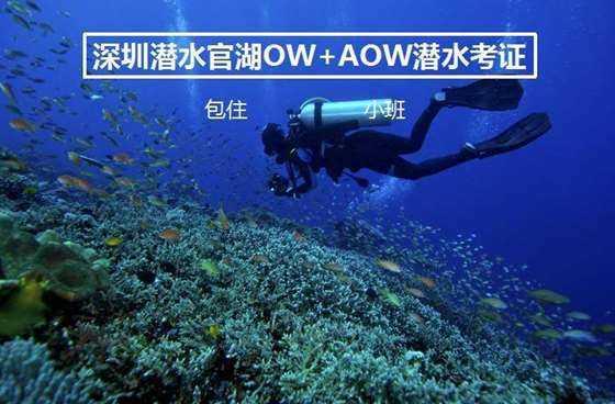 探索你所不知道的货拉拉跑腿骑手app下载安装官网,获取精准答案